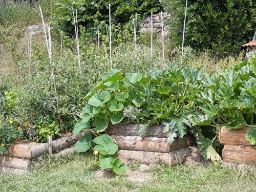 Vue sur le potager de Corinne