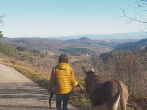 Vue depuis la vallée de la Pinsole